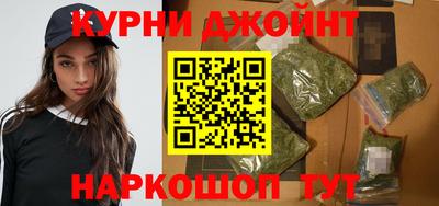 гидропоника Будённовск