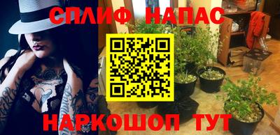 гидропоника Будённовск