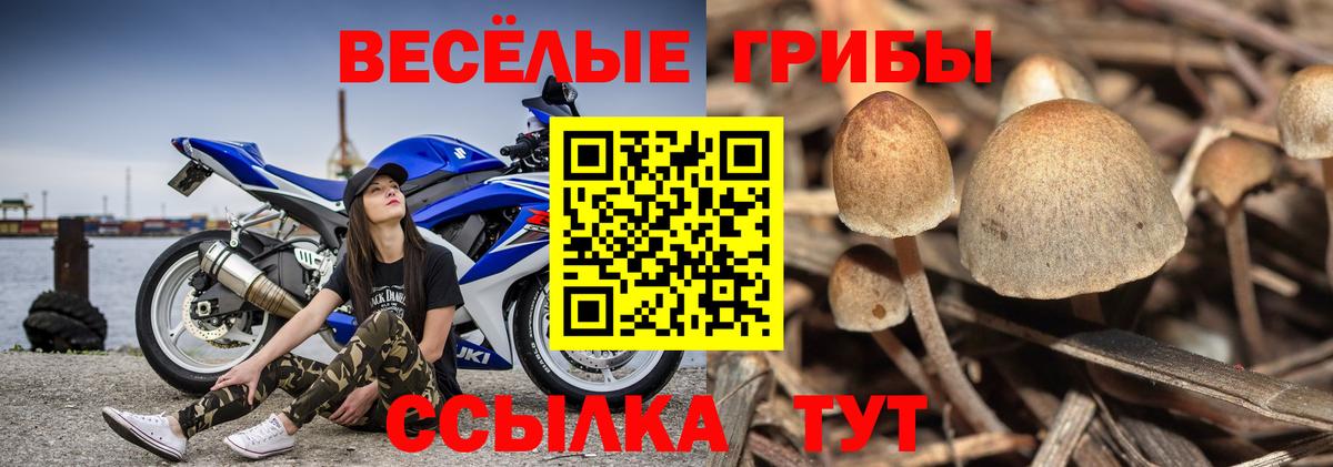 Миасс  Галлюциногенные грибы MAGIC MUSHROOMS  Вход с VPN 